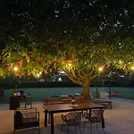 Number 6 - Complex *