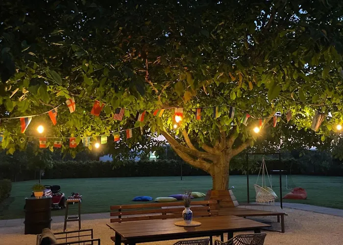 Number 6 - Complex *